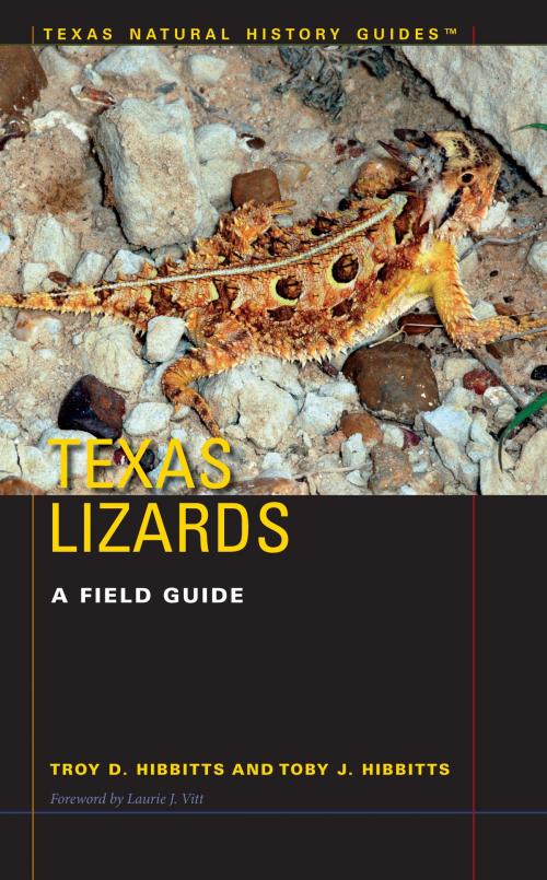 Cover of the book Texas Lizards by Troy D. Hibbitts, Toby J. Hibbitts, University of Texas Press