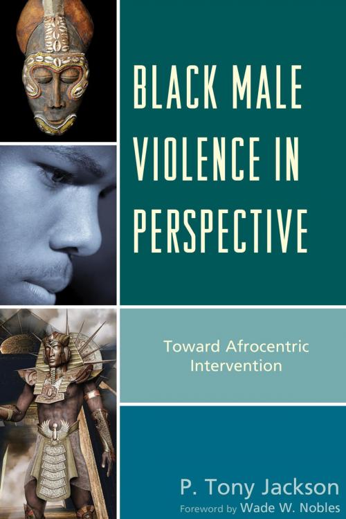 Cover of the book Black Male Violence in Perspective by P. Tony Jackson, Lexington Books