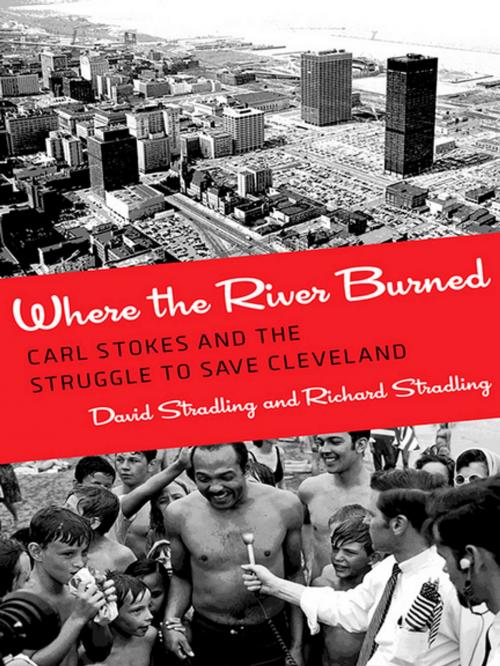 Cover of the book Where the River Burned by David Stradling, Richard Stradling, Cornell University Press