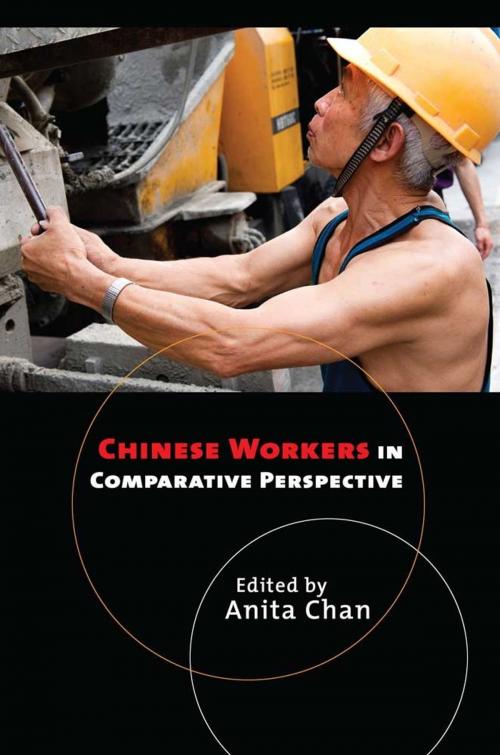 Cover of the book Chinese Workers in Comparative Perspective by , Cornell University Press