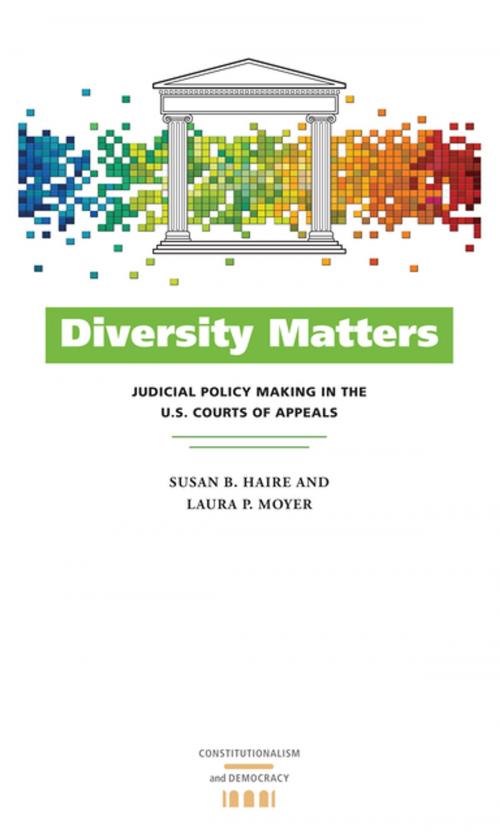 Cover of the book Diversity Matters by Susan B. Haire, Laura P. Moyer, University of Virginia Press