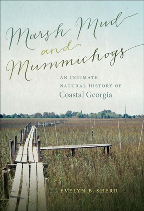 Cover of the book Marsh Mud and Mummichogs by Evelyn B. Sherr, University of Georgia Press