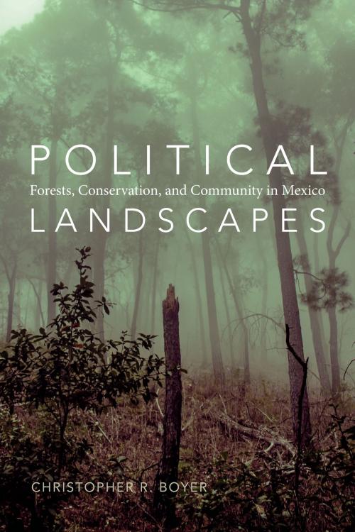 Cover of the book Political Landscapes by Christopher R. Boyer, Duke University Press