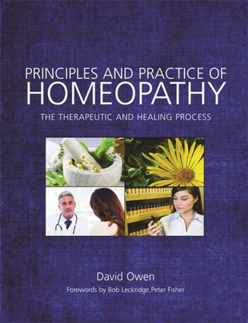 Cover of the book Principles and Practice of Homeopathy by David Owen, Jessica Kingsley Publishers
