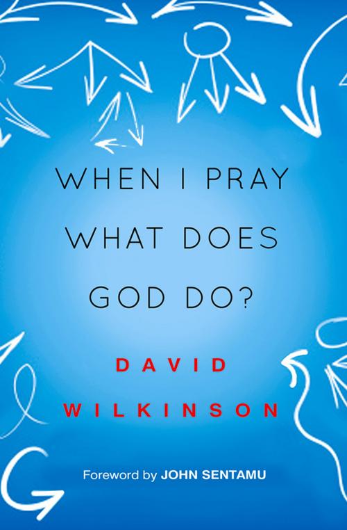 Cover of the book When I Pray, What Does God Do? by David Wilkinson, Lion Hudson