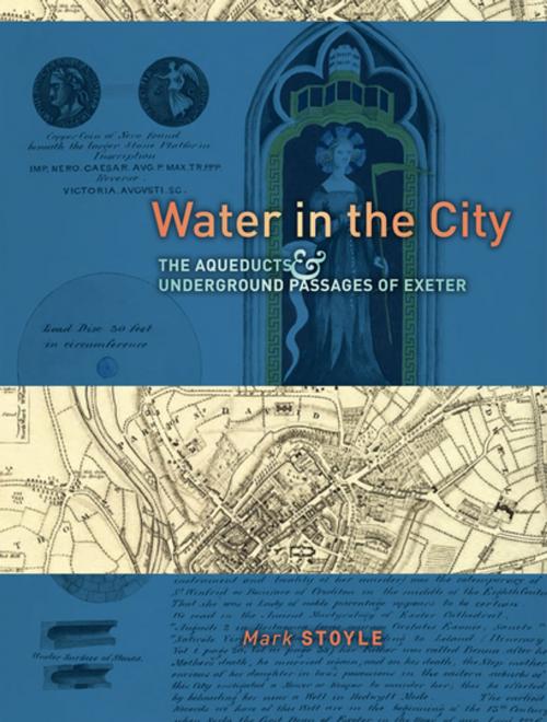 Cover of the book Water in the City by Mark Stoyle, University of Exeter Press