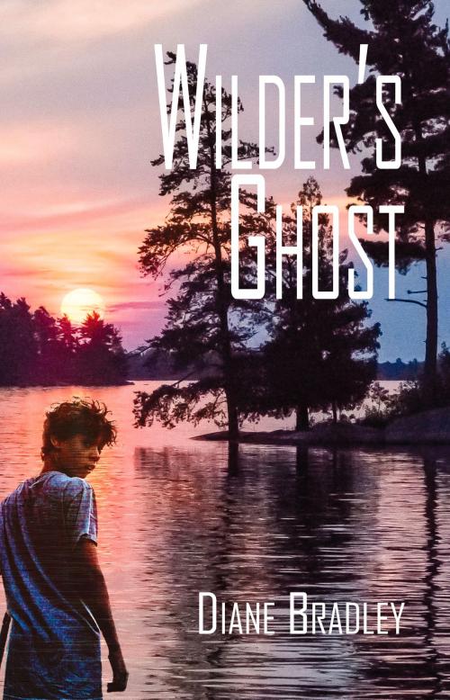 Cover of the book Wilder's Ghost by Diane Bradley, North Star Press of St. Cloud