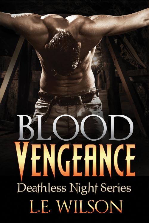 Cover of the book Blood Vengeance by L.E. Wilson, Everblood Publishing, LLC