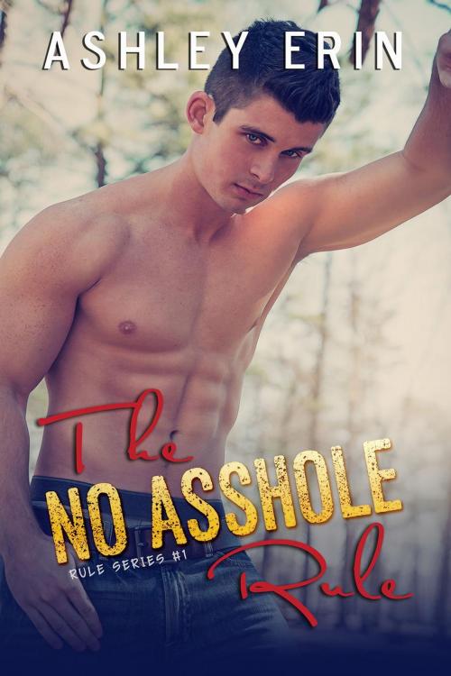Cover of the book The No Asshole Rule by Ashley Erin, Ashley Erin