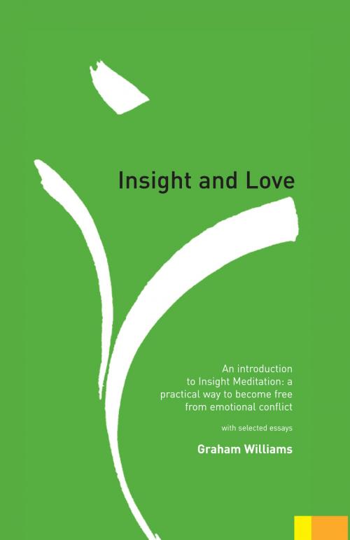 Cover of the book Insight and Love by Graham Williams, LifeFlow Publications