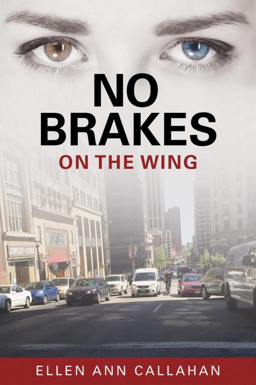 Cover of the book No Brakes: On the Wing by Ellen Ann Callahan, Parks Wells Publishing, LLC