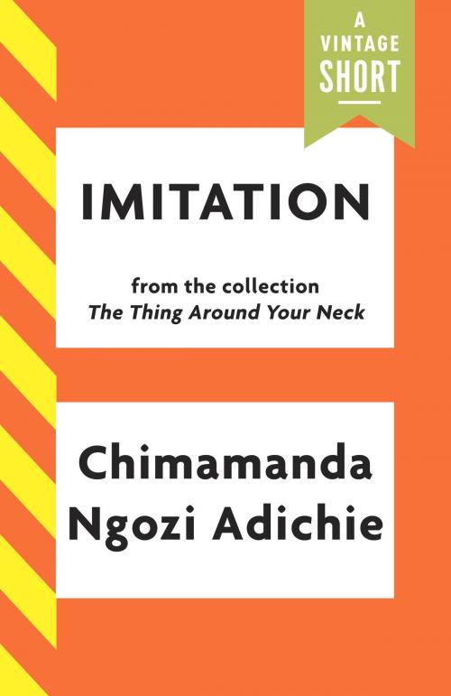 Cover of the book Imitation by Chimamanda Ngozi Adichie, Knopf Doubleday Publishing Group
