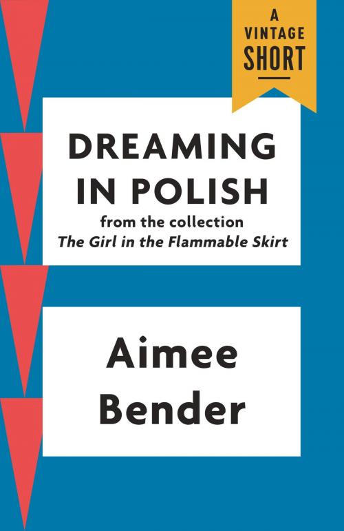 Cover of the book Dreaming in Polish by Aimee Bender, Knopf Doubleday Publishing Group