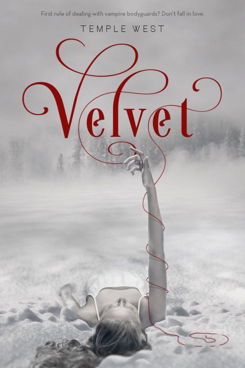 Cover of the book Velvet by Temple West, Feiwel & Friends