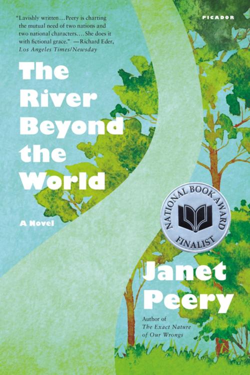 Cover of the book The River Beyond the World by Janet Peery, Picador