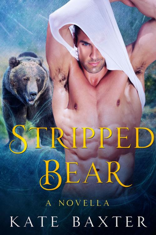Cover of the book Stripped Bear by Kate Baxter, St. Martin's Press