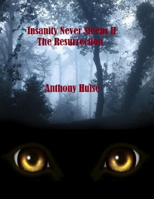 Cover of the book Insanity Never Sleeps II (The Resurrection) by Anthony Hulse, Lulu.com