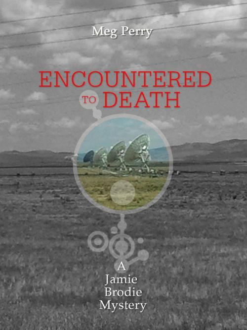 Cover of the book Encountered to Death: A Jamie Brodie Mystery by Meg Perry, Meg Perry