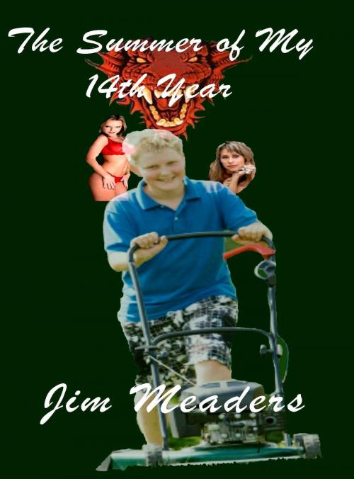 Cover of the book The Summer of My 14th Year by Jim Meaders, A-Argus Better Book Publishers
