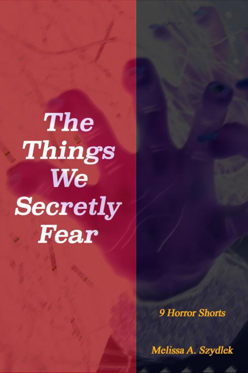 Cover of the book The Things We Secretly Fear by Melissa Szydlek, Melissa Szydlek