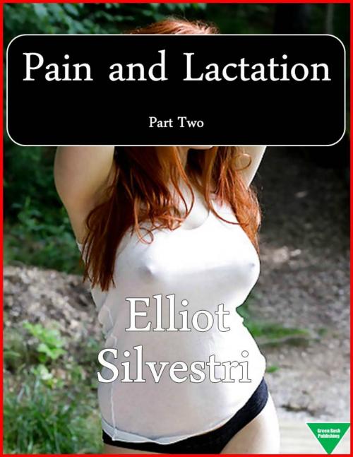 Cover of the book Pain and Lactation Part 2 by Elliot Silvestri, Elliot Silvestri