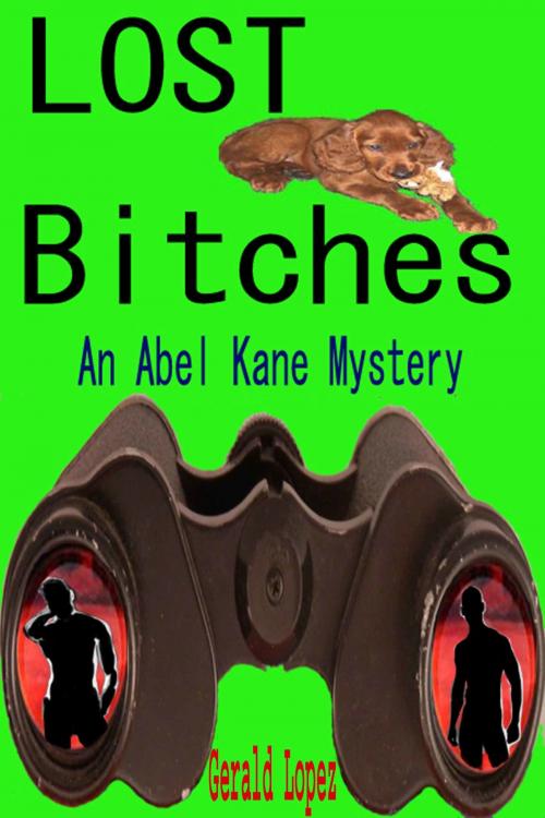 Cover of the book Lost Bitches (an Abel Kane Mystery) by Gerald Lopez, Gerald Lopez