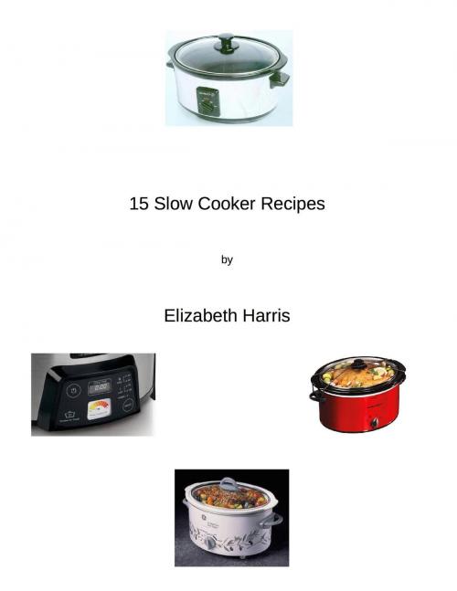 Cover of the book 15 Slow Cooker Recipes by LizHarris57, Les Johns