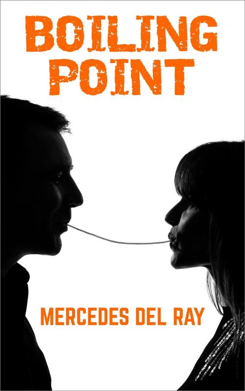 Cover of the book Boiling Point by Mercedes Del Ray, Mercedes Del Ray