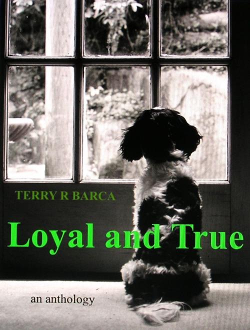 Cover of the book Loyal and True by Terry R Barca, Terry R Barca
