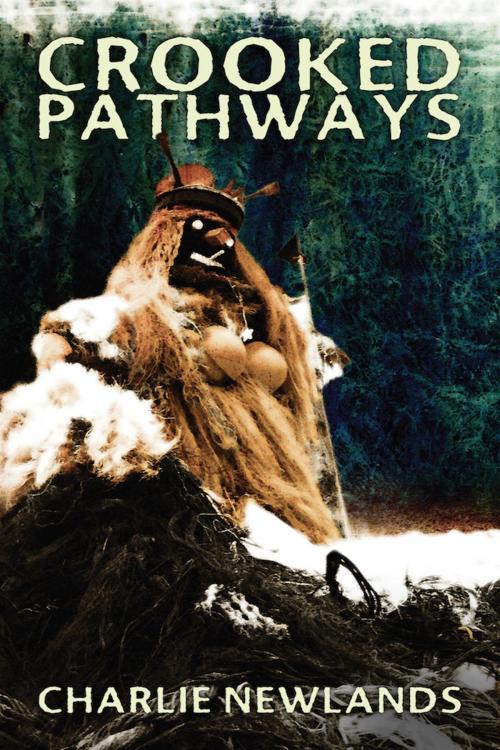 Cover of the book Crooked Pathways by Charlie Newlands, Charlie Newlands