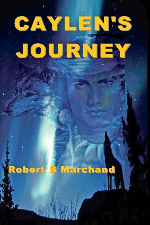 Cover of the book Caylen's Journey by Robert B. Marchand, A-Argus Better Book Publishers