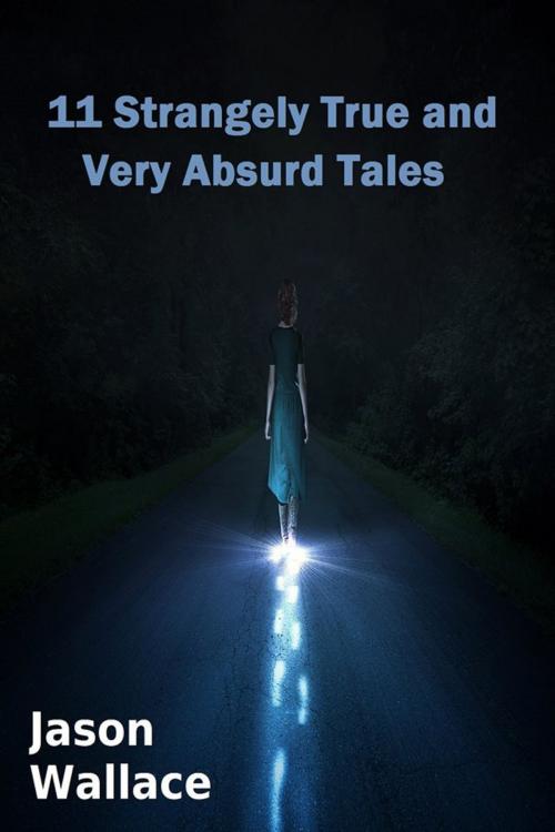 Cover of the book 11 Strangely True and Very Absurd Tales by Jason Wallace, Jason Wallace