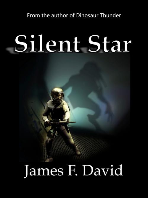 Cover of the book Silent Star by James David, James David