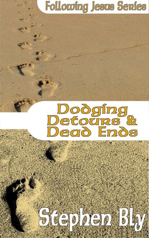 Cover of the book Dodging Detours & Dead Ends by Stephen Bly, Bly Books