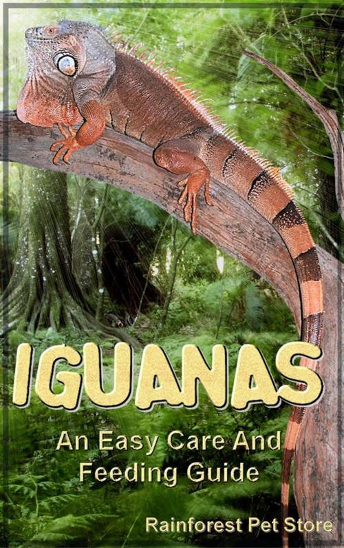 Cover of the book Iguanas by Rainforest Pet Store, Rainforest Pet Store