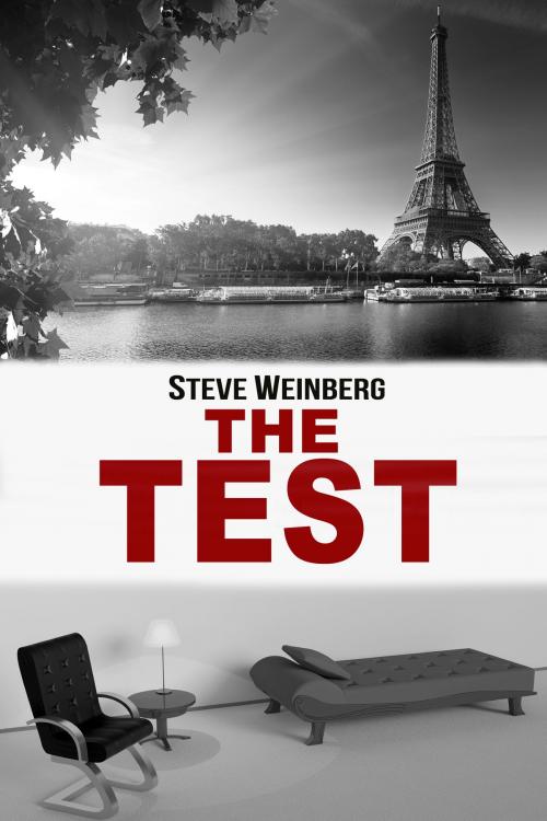 Cover of the book The Test by Steve Weinberg, Steve Weinberg