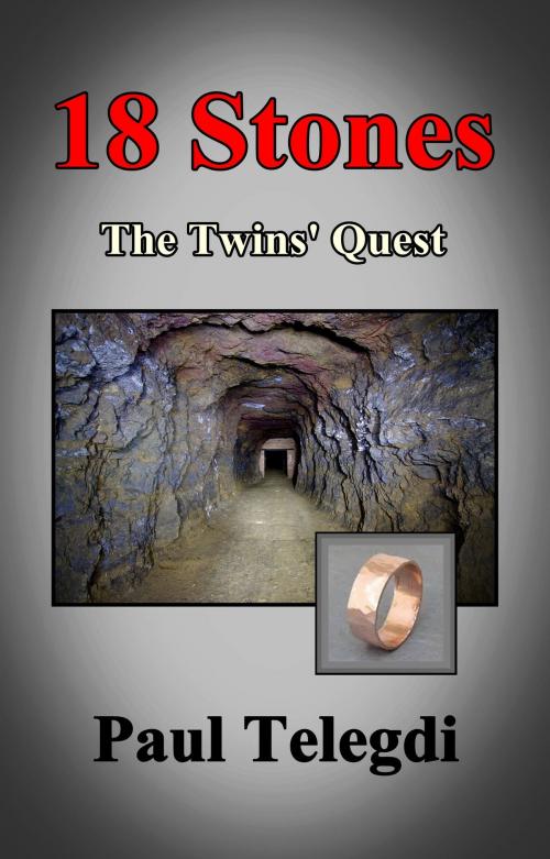 Cover of the book 18 Stones by Paul Telegdi, Paul Telegdi