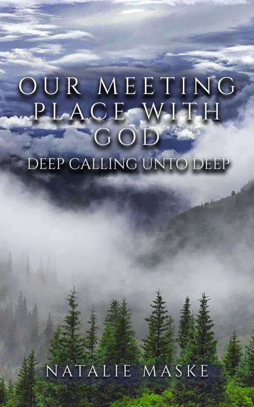Cover of the book Our Meeting Place by Natalie Maske, Natalie Maske