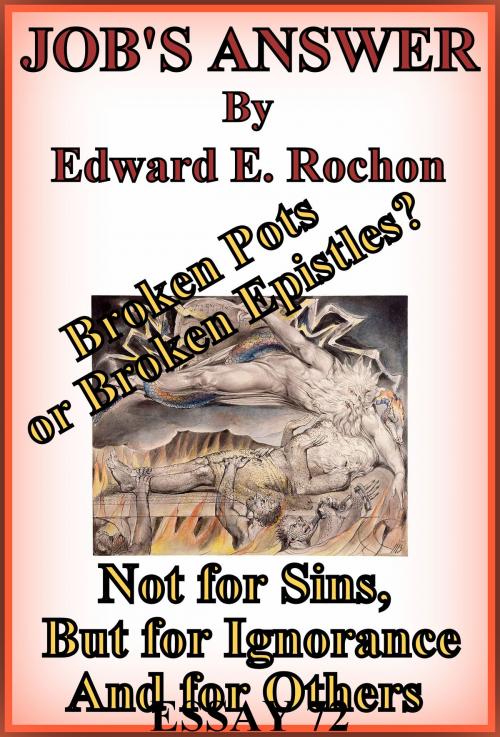 Cover of the book Job's Answer by Edward E. Rochon, Edward E. Rochon