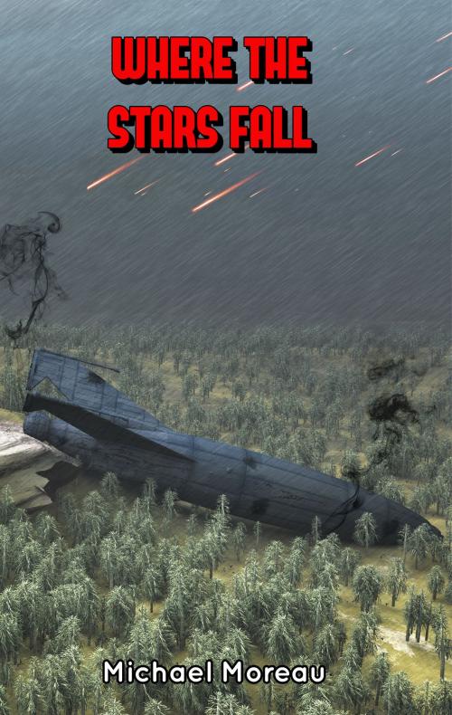 Cover of the book Where the Stars Fall by Michael Moreau, Michael Moreau