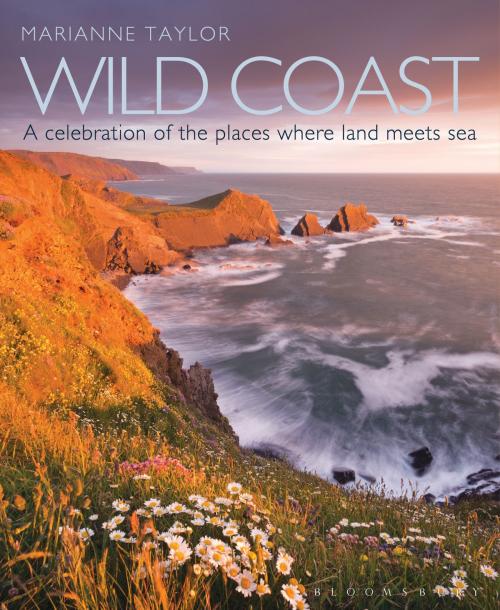 Cover of the book Wild Coast by Ms Marianne Taylor, Bloomsbury Publishing