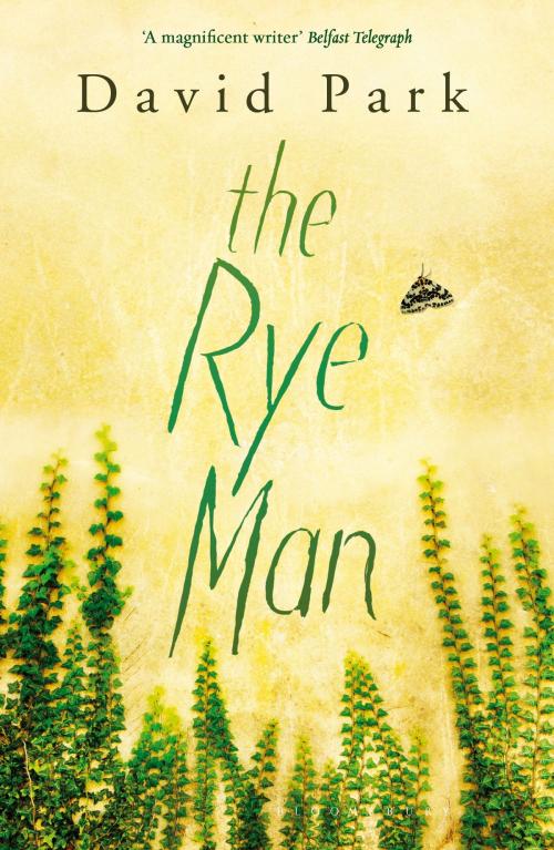 Cover of the book The Rye Man by David Park, Bloomsbury Publishing