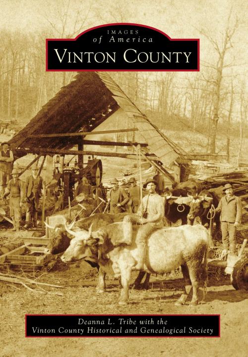 Cover of the book Vinton County by Tribe, Deanna L., Vinton County Historical and Genealogical Society, Arcadia Publishing Inc.