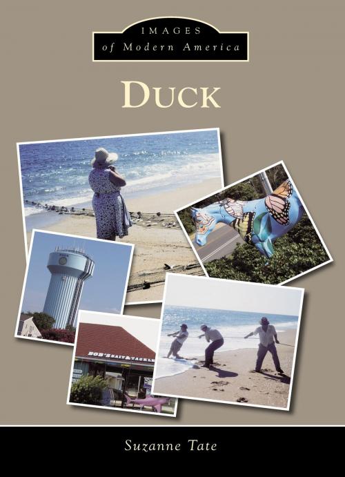 Cover of the book Duck by Suzanne Tate, Arcadia Publishing Inc.