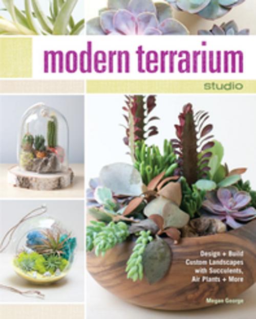 Cover of the book Modern Terrarium Studio by Megan George, F+W Media