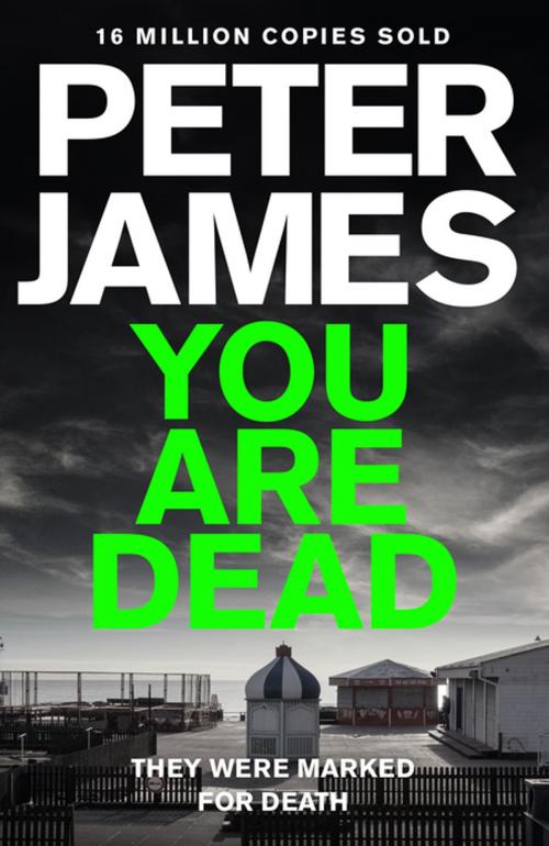 Cover of the book You Are Dead by Peter James, Pan Macmillan