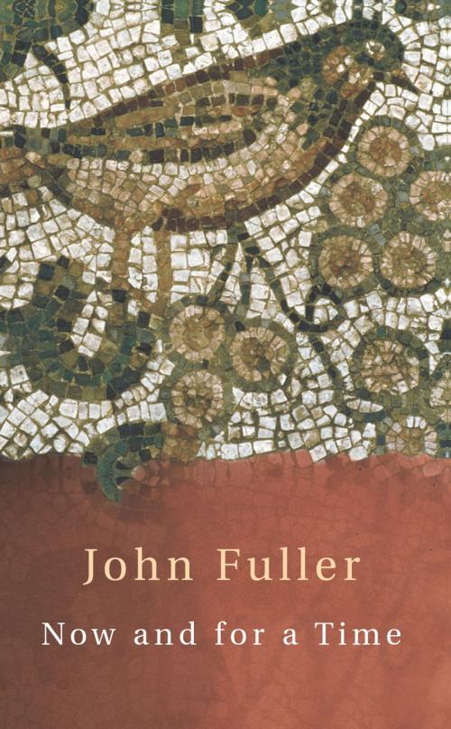 Cover of the book Now and for a Time by John Fuller, Random House
