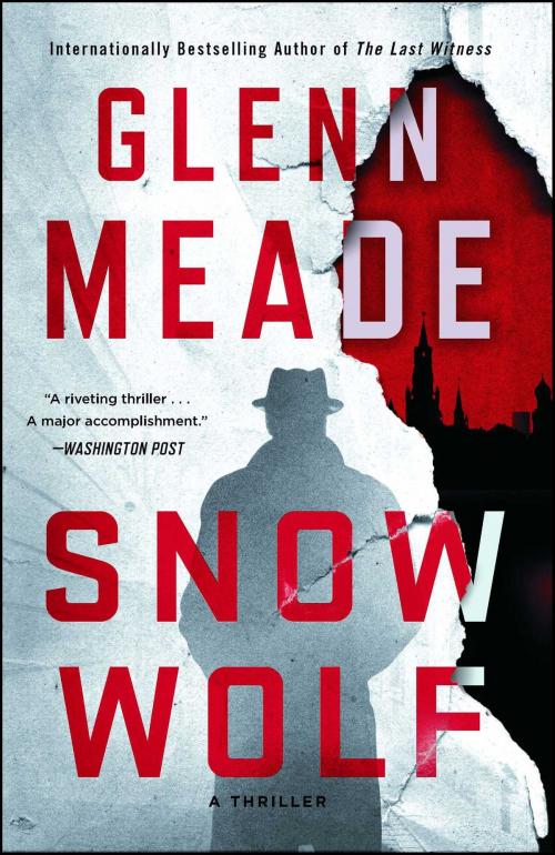 Cover of the book Snow Wolf by Glenn Meade, Howard Books