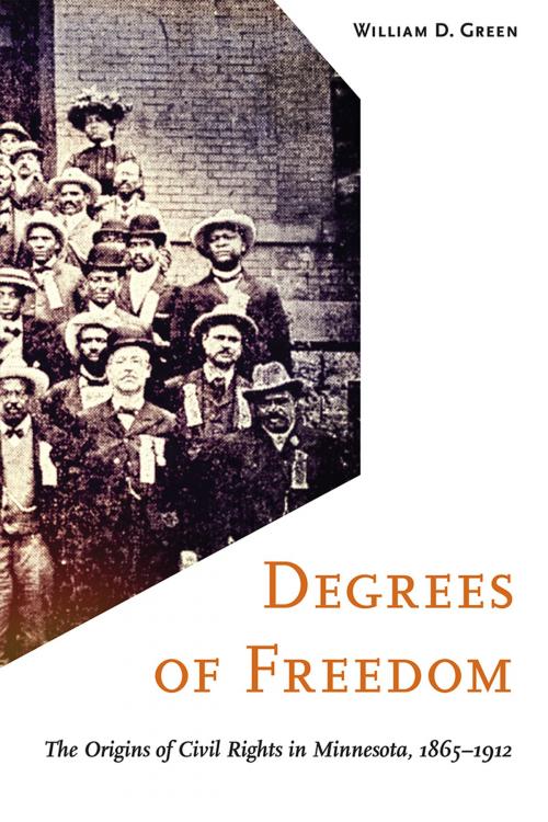 Cover of the book Degrees of Freedom by William D. Green, University of Minnesota Press