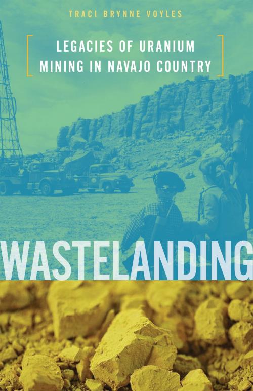 Cover of the book Wastelanding by Traci Brynne Voyles, University of Minnesota Press